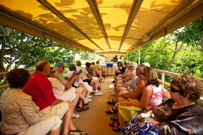St Kitts Scenic Train Tour (Hotel or Ship) - Amenities Offered on the Tour