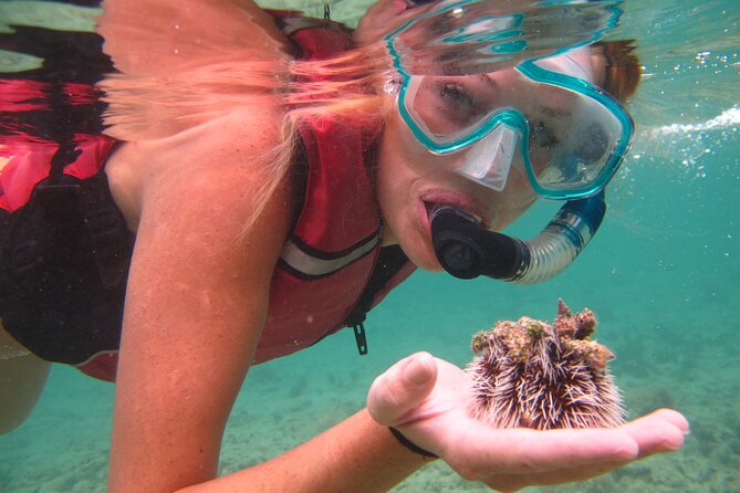 St Thomas Shore Excursion: Mangrove Lagoon Kayak and Snorkel Tour - Tour Overview
