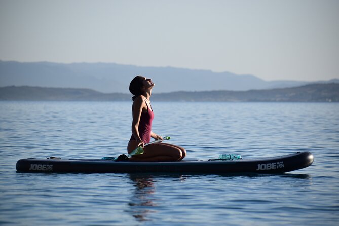 Stand Up Paddle With Dolphins - Overview of the Excursion