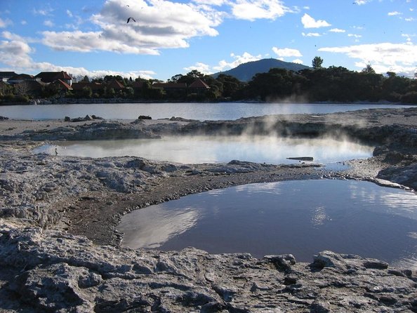 [Stevong Travel] Rotorua Private Tour With Hotspring - Key Points