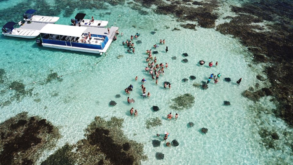 Stingray City Experience Antigua - ONLY TICKET - Key Points