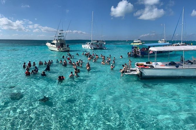 Stingray City Sandbar, Coral Gardens Snorkeling & Starfish Point - Key Points