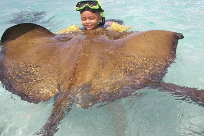 Stingray City