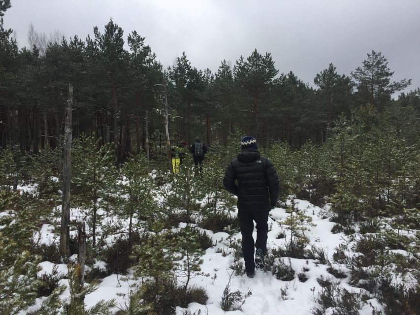 Stockholm: Nature Reserve Hiking Tour With Campfire Lunch - Key Points