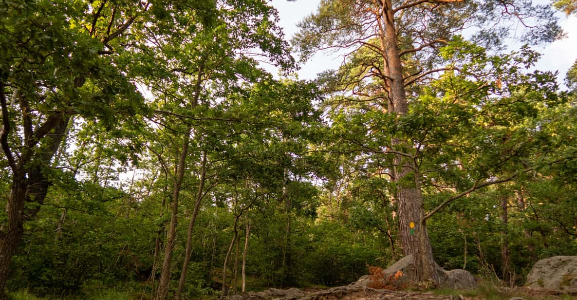 Stockholms Nacka Nature Reserve: 3-hour Hike for Beginners - Key Points