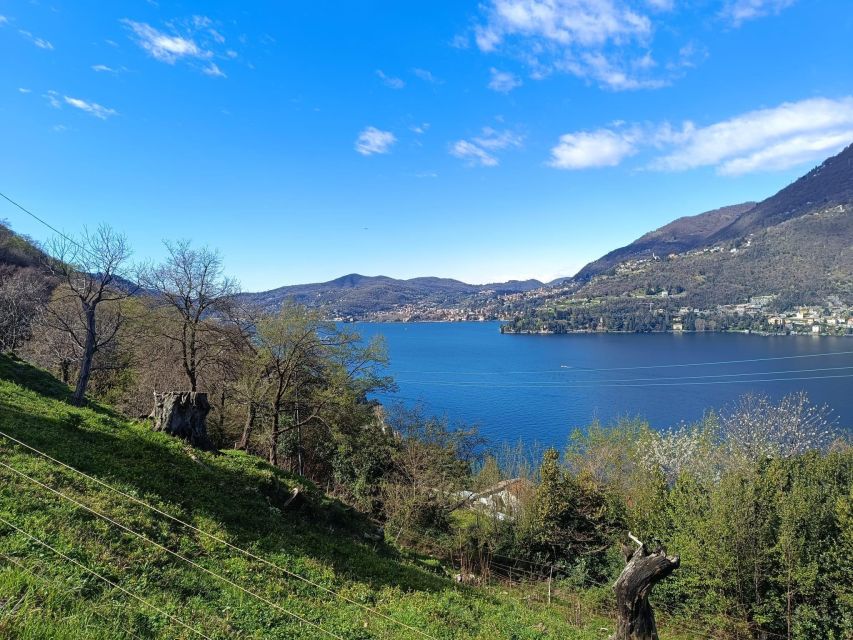 Summer Excursion in the Woods From Como to Torno - Key Points