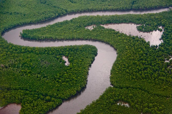 Sunset Boat Tour Into Caroni Wetlands - Overview of the Tour