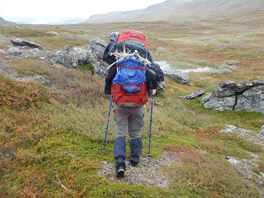 Swedish Lapland: a Trekking Week With Helicopterflight - Key Points