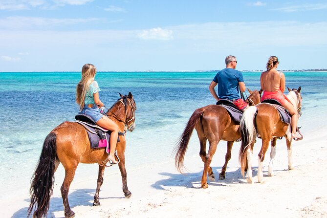 Swim With the Horses Private Tour - Tour Overview
