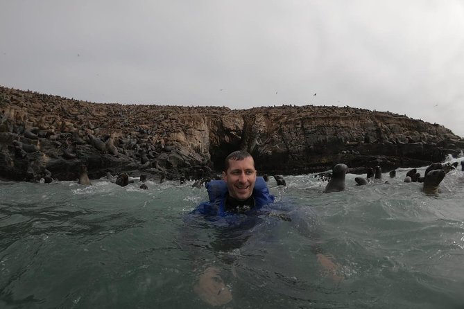 Swimming With Sea Lions in Lima - Overview of Sea Lion Tours