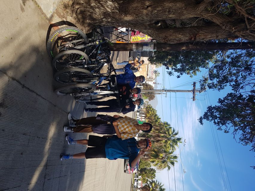 Tacos and Bike, the Best Fish Tacos in the World. - Key Points