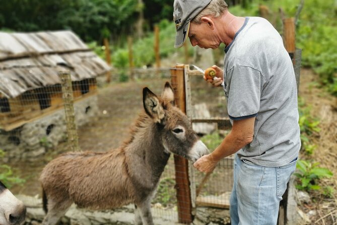 Taino Valley Tropical Park Puerto Plata Tubagua - Location and Accessibility