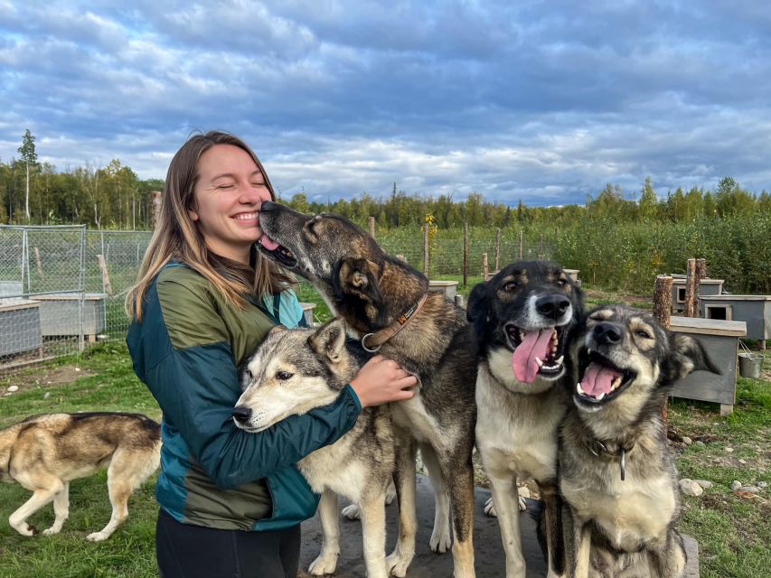 Talkeetna: Summer Sled Dog Kennel Tour - Key Points