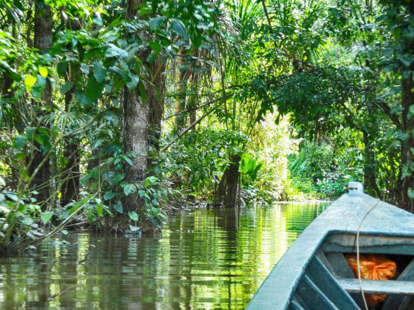 Tambopata: Lake Sandoval Canoeing With Lunch - Key Points