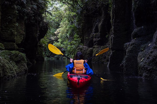 Tauranga: Daytime Scenic Lake McLaren Tour - Key Points