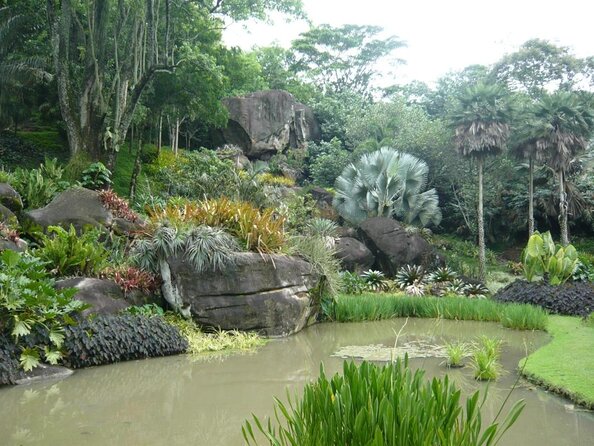 Telegraph Rock Hiking Tour (Avoid Crowds) - Rio De Janeiro - Key Points