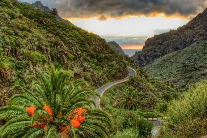 Tenerife Grand Tour: Including Teide National Park and Masca - Key Points