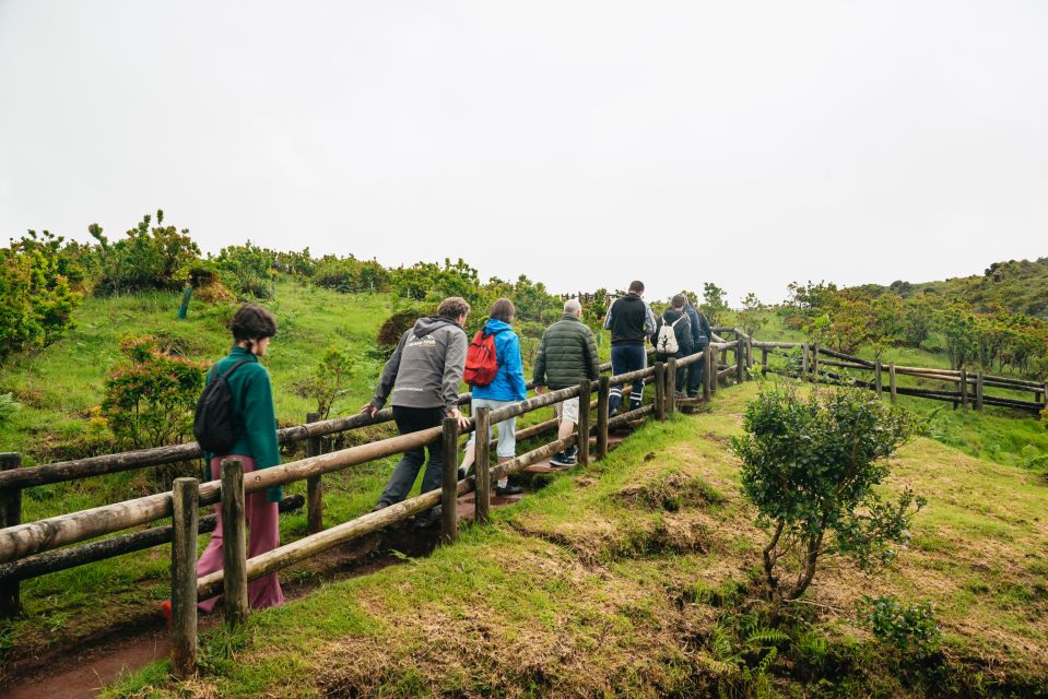 Terceira: Algar Do Carvão Lava Caves Tour - Key Points