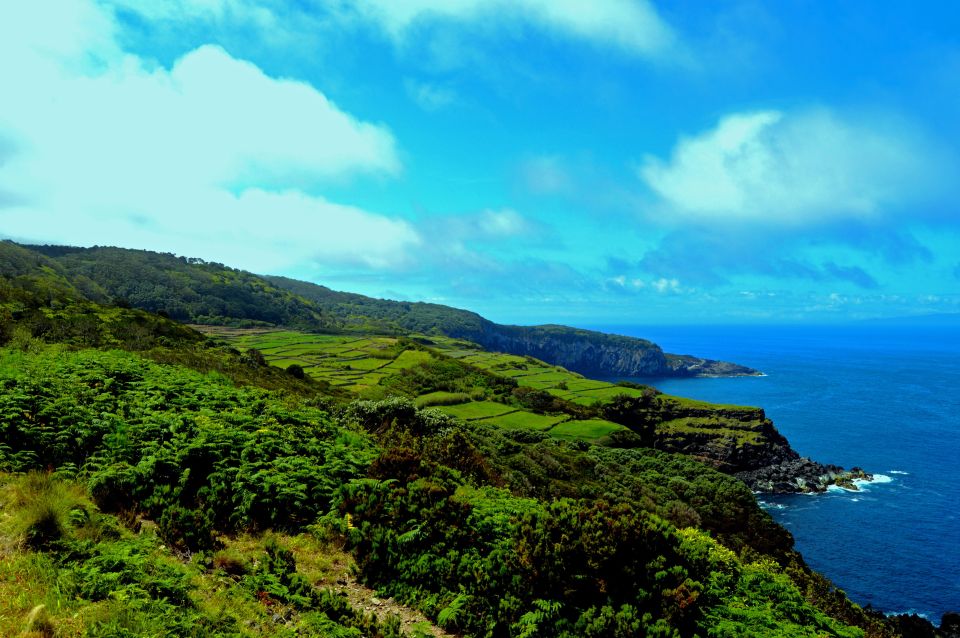 Terceira: Half-Day Island Tour With Cheese Tasting - Key Points