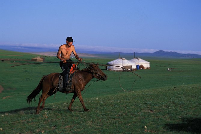 Terelj National Park, Chinggis Khan Statue Day Tour - Key Points