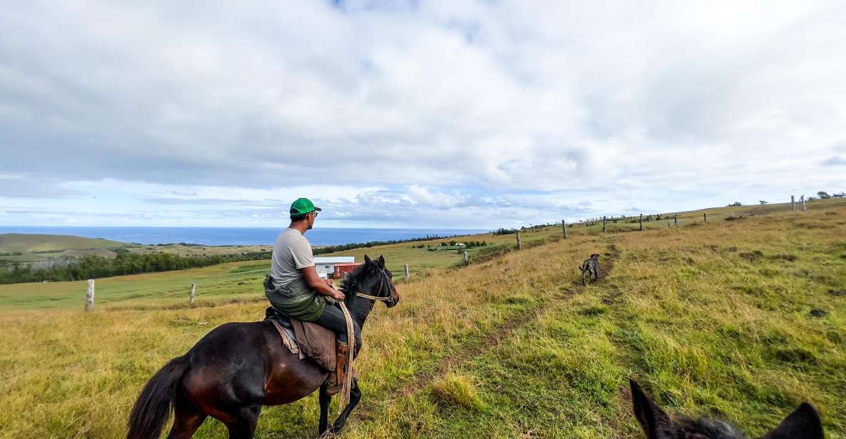 Terevaka Horse Excursion: the Highest Point and 360° View. - Key Points
