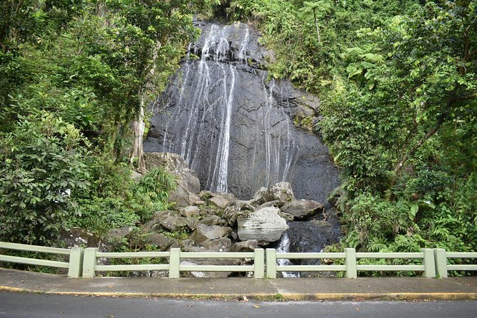 The El Yunque Rainforest Guided Day Tour From San Juan - Overview of El Yunque National Forest