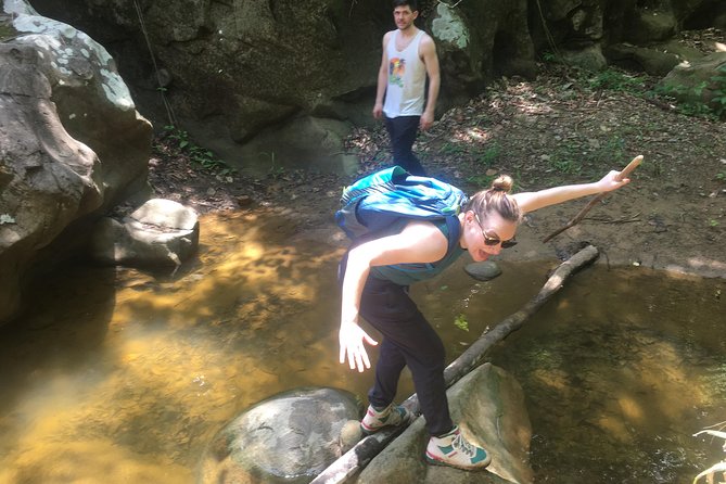 The Jaguar´S Footprint: Hike and Music Day Trip From Cartagena - Overview of the Experience