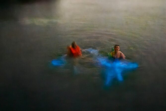 The ULTIMATE Bioluminescence Night Time Adventure With Brandon - The Adventure Experience