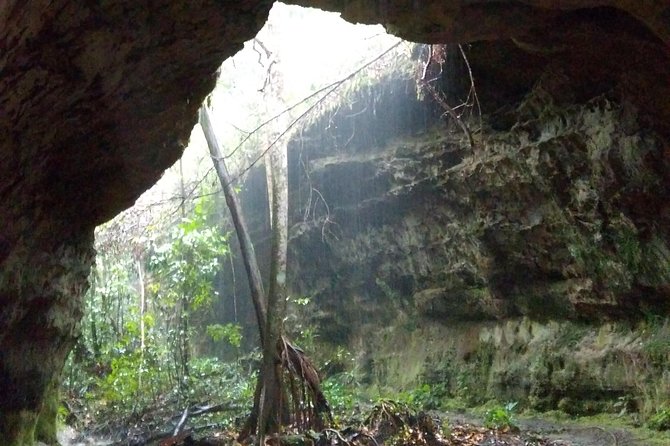 The Waterfalls of President Figueiredo - Day Tour in the Amazon - Overview of the Tour