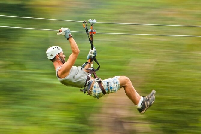 Thrilling Zipline Adventure at Bocawina Rainforest - Key Points