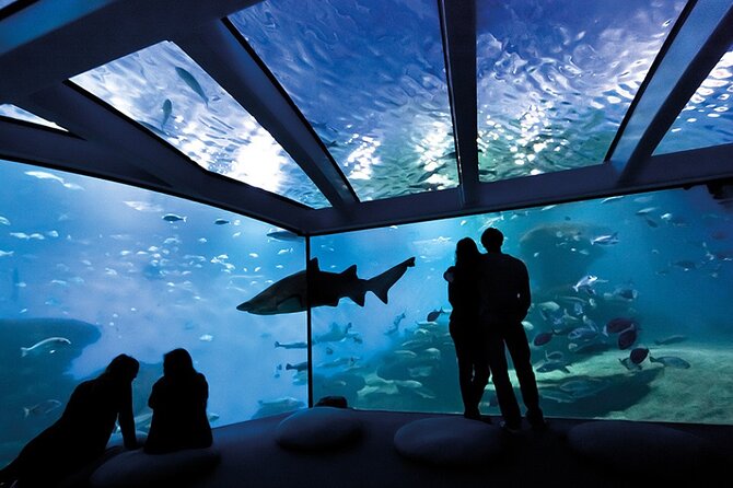 Ticket Palma Aquarium - Key Points