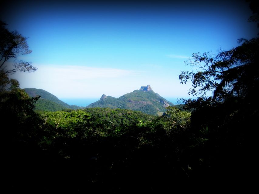 Tijuca Forests Hike: Caves, Waterfalls and Great Views - Key Points