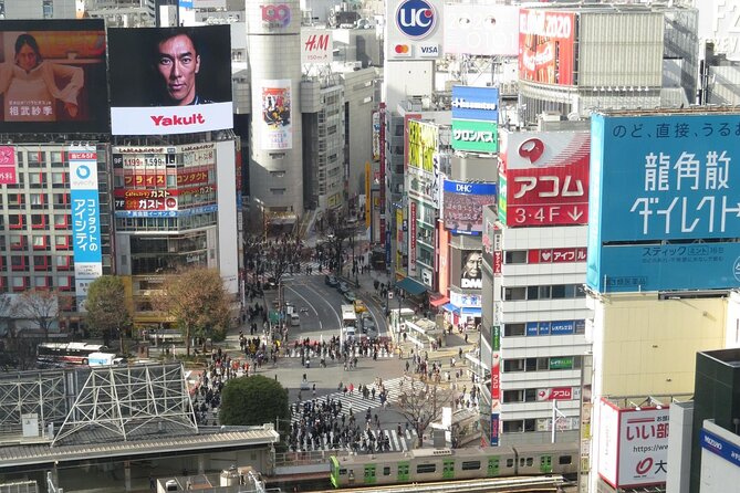 Tokyo Toilet Tour - Key Points