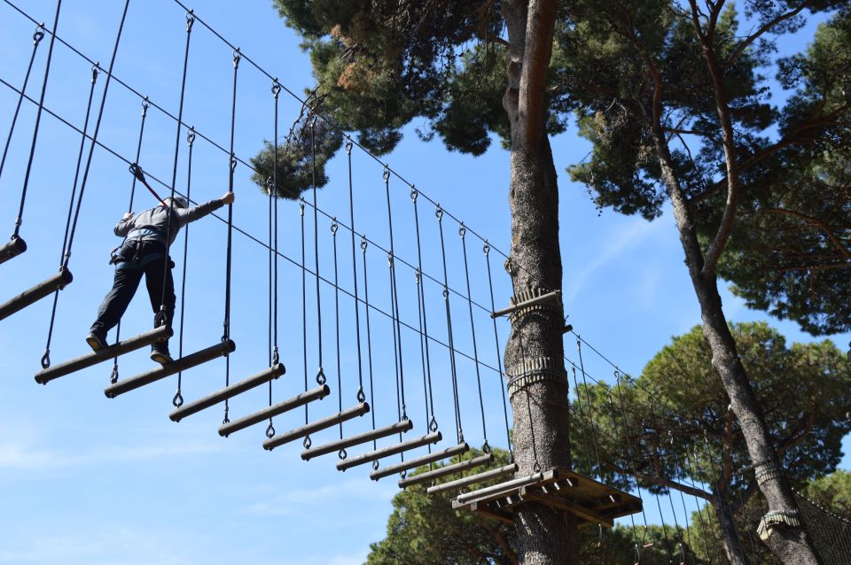 Torre Del Greco: Bear Valley Adventure Park Entry Ticket - Key Points