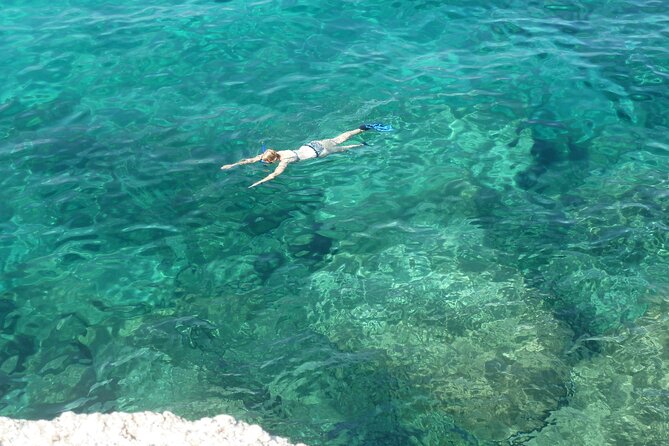 Tour in Rubber Dinghy and Snorkeling in the Protected Marine Area of Tavolara - Good To Know