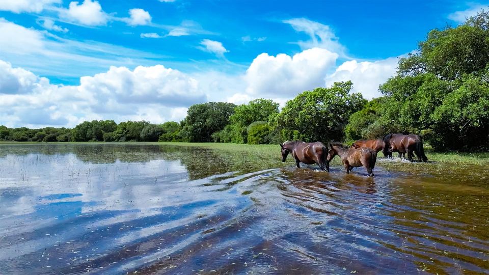 Tour Nature & Wildlife From Cagliari - Key Points