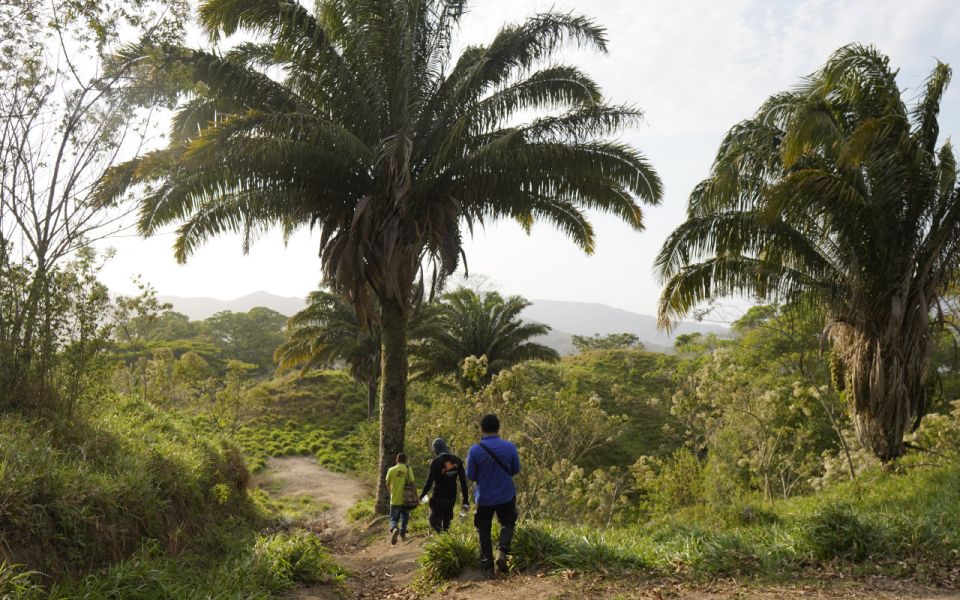 Tour of 2 Days Explore the New Lost City Ctg-Sta Marta - Key Points