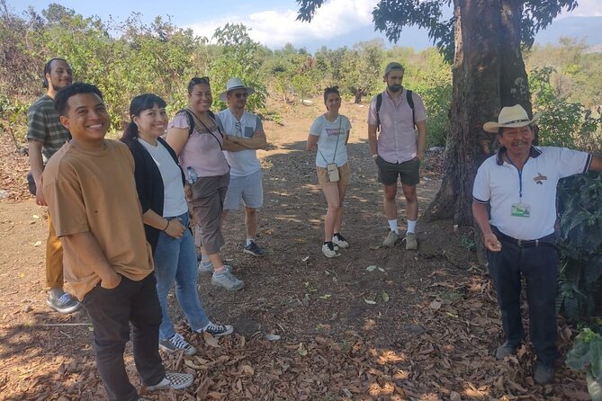 Tour Rural De Café/ Coffee Tour - Overview of the Coffee Tour