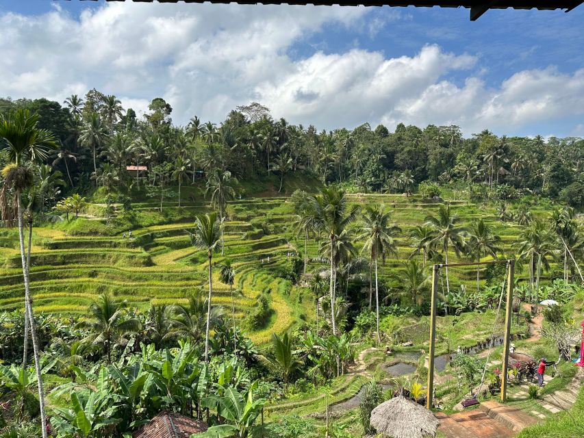 Tour & Traval Guide | Bedugul - Key Points