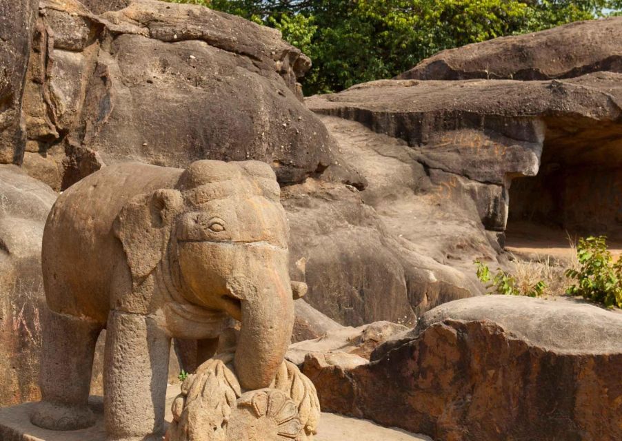 Tourisct Highlights of Bhubaneswar (Guided Fullday Tour) - Key Points