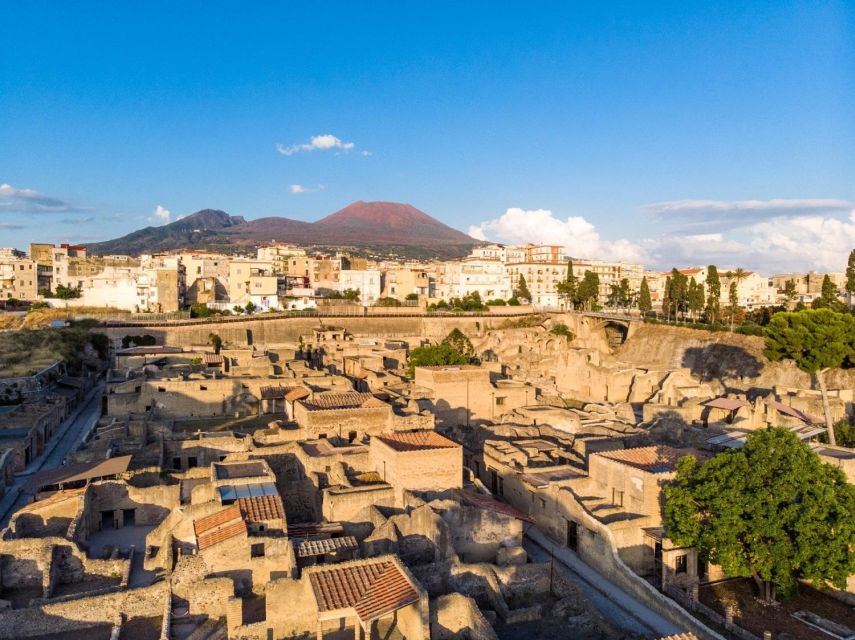 Transfer Service: Discovering Herculaneum Ruins - Key Points