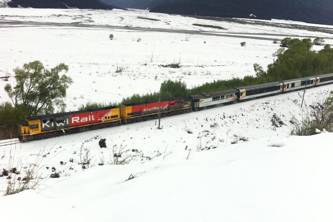 Tranz Alpine Train Tour - Key Points