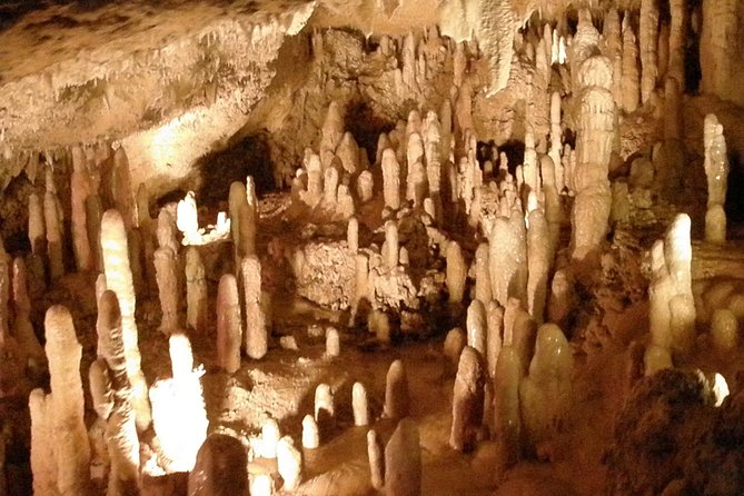 Treasures of Barbados Cave and Plantation Sightseeing Tour - Inclusions and Logistics