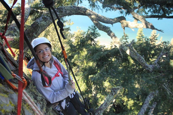 Tree Canopy Climbing on Lopez Island - Key Points