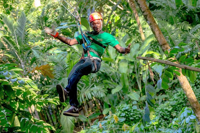 Treetop Zipline Experience From Castries - Overview of the Experience