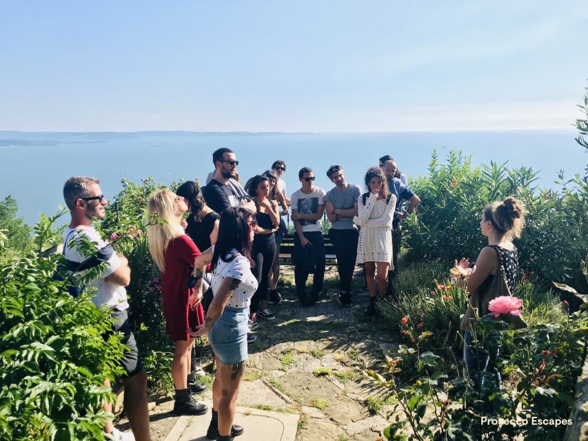 Trieste: 2.5-Hour Prosecco Origins Tour and Tastings