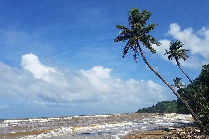 Trinidad Island Circle Tour With Pickup - Tour Overview