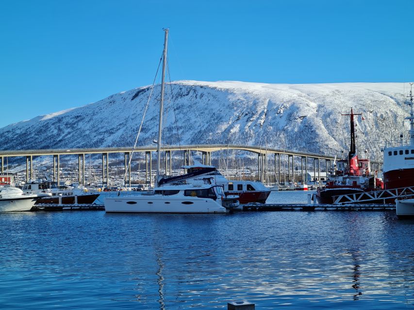 Tromsø: Arctic Fjord Sightseeing Cruise in Luxury Catamaran - Good To Know