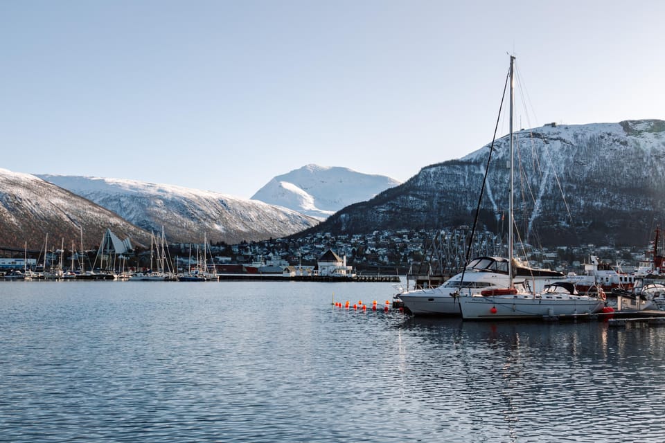 Tromsø: Arctic Flavors Food Walking Tour - Good To Know