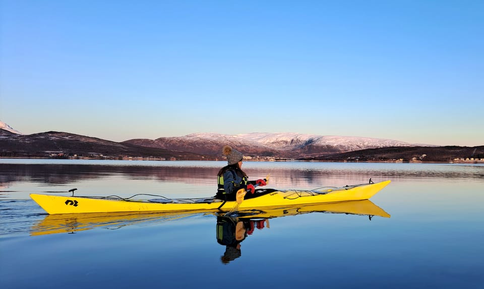 Tromsø: Easy Winter Kayaking Tour With Seal Watching - Good To Know